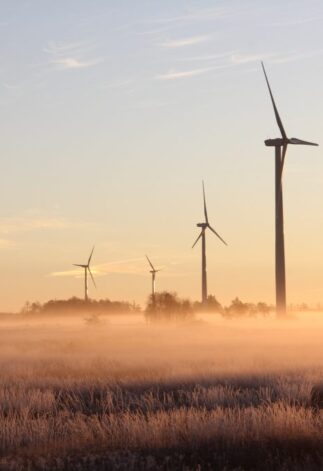 Renewable-Energy.jpg
